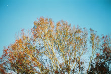 Load image into Gallery viewer, Fujicolor Superia 100 135-24 - Expired!