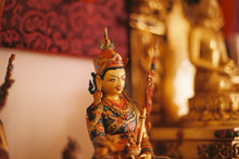Load image into Gallery viewer, Fujicolor Superia 100 135-24 - Expired!