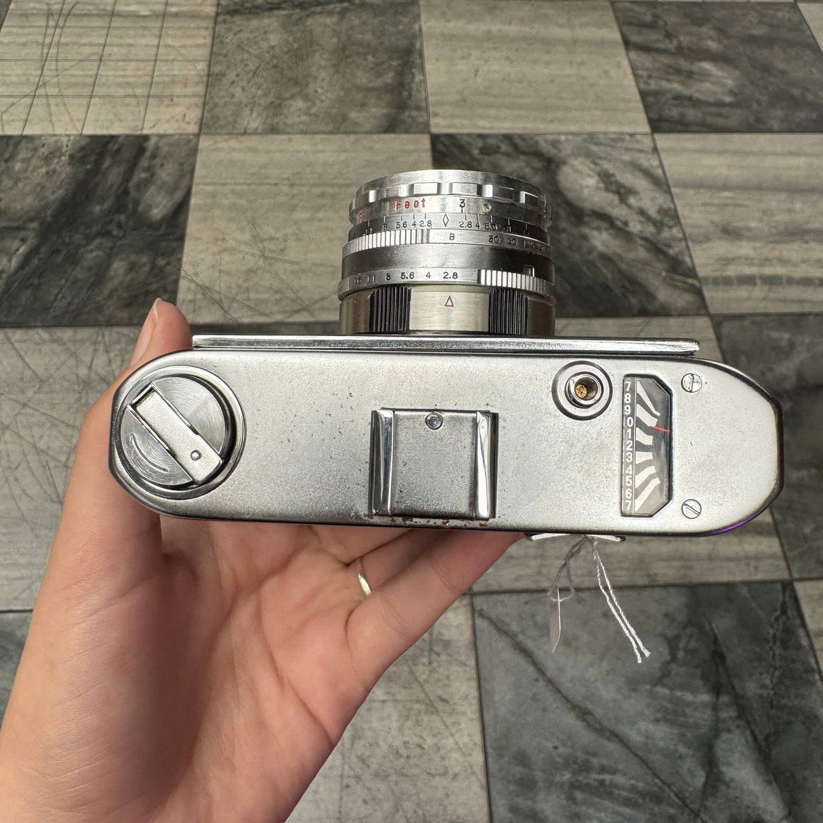 Halina Paulette Electric – Junktion NZ