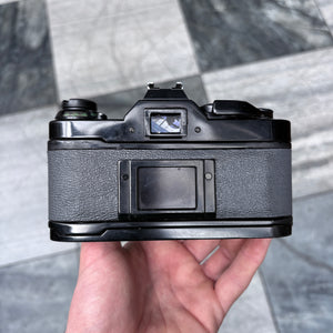 Canon AE-1 Program