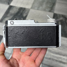 Load image into Gallery viewer, Goldammer Golda