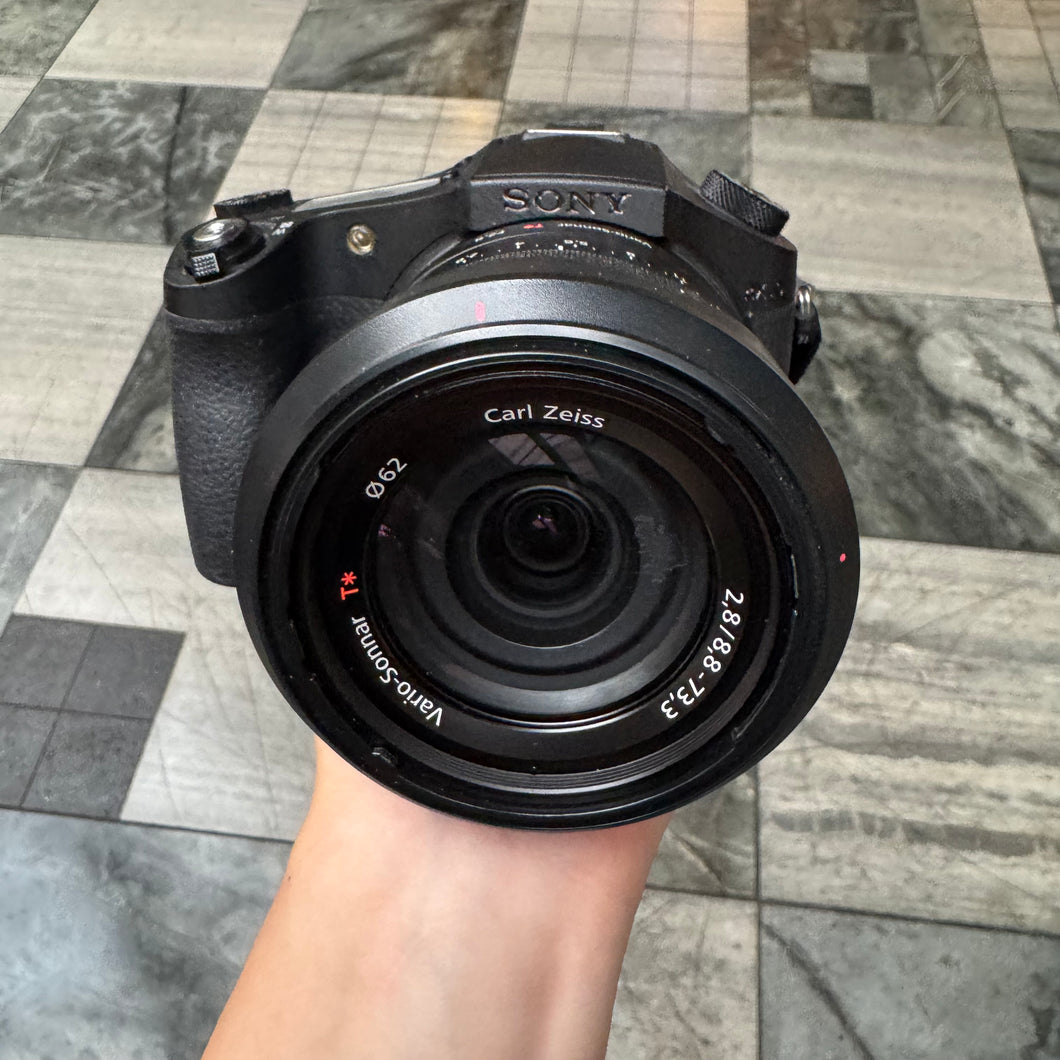 Sony Cybershot DSC-RX10