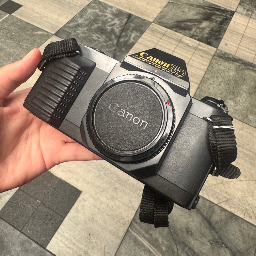 Canon T50 Body