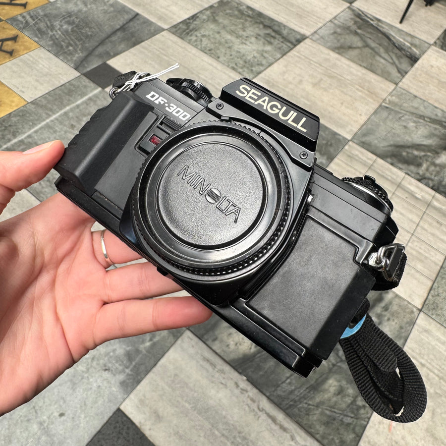 Seagull DF-300X Body